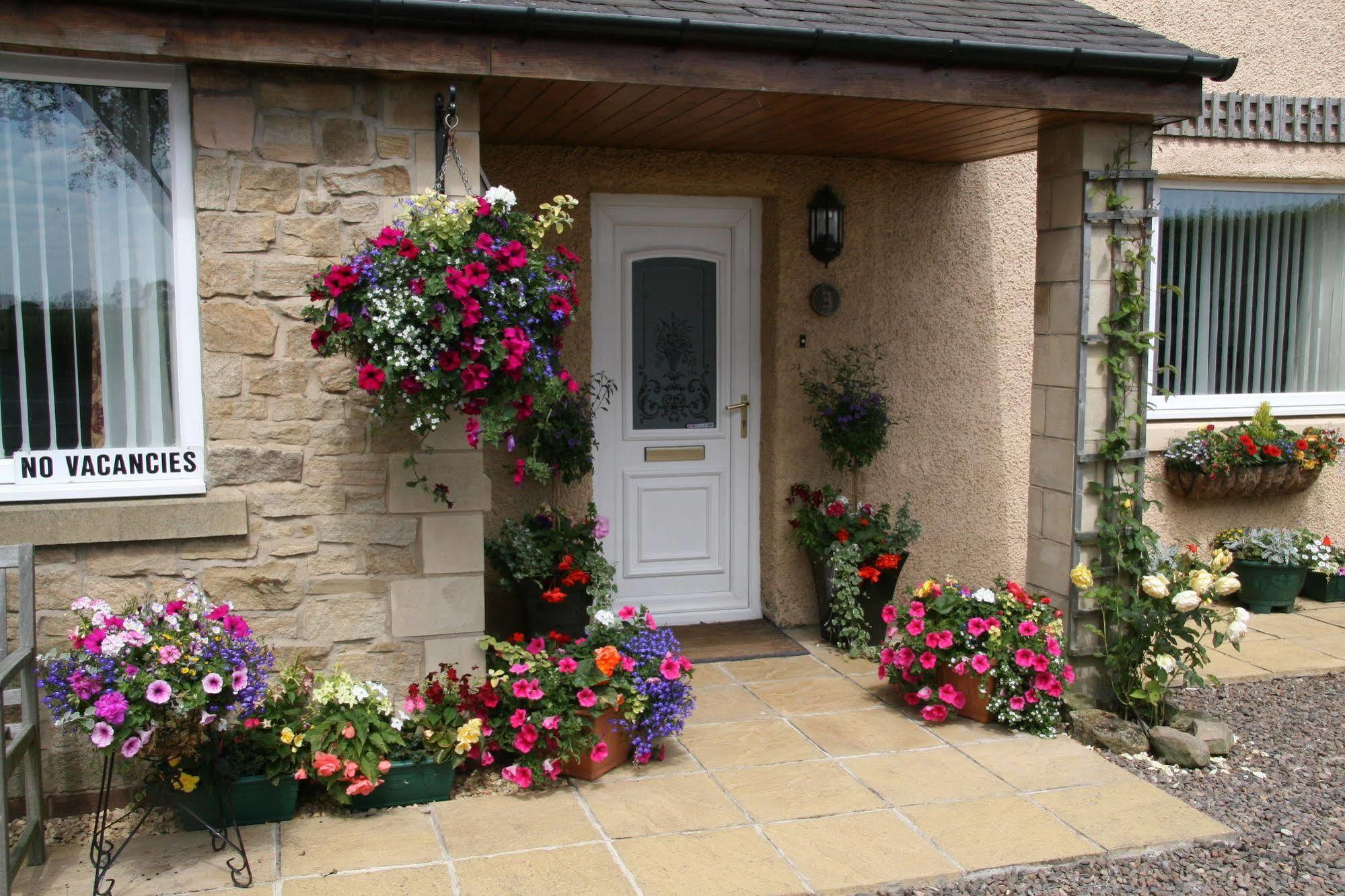 Northumberland Cottage B&B Acklington Eksteriør billede
