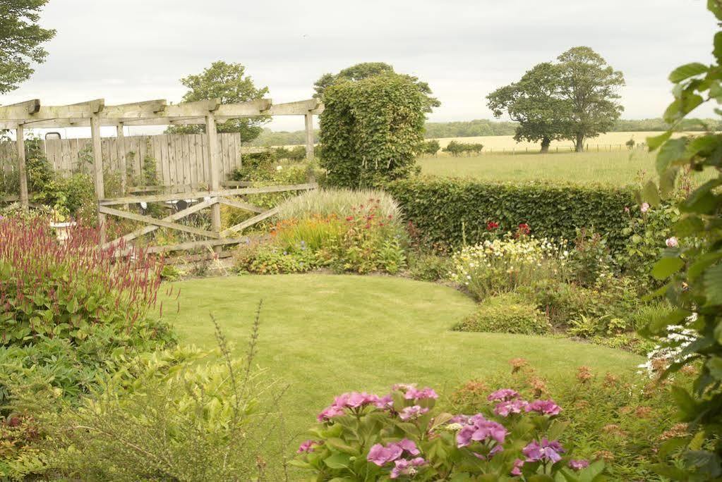 Northumberland Cottage B&B Acklington Eksteriør billede